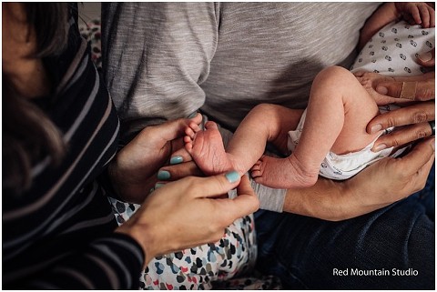 boulder newborn photographer 