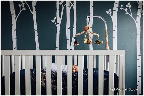 boulder newborn photographer 