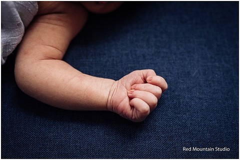 boulder newborn photographer 